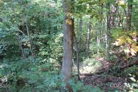 Property for sale in Madison County, North Carolina