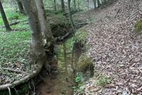 Property for sale in Rutherford County, North Carolina