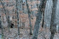 Undeveloped Land for sale in Yancey County, North Carolina