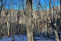 Undeveloped Land for sale in Madison County, North Carolina