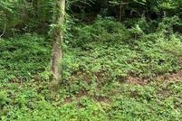 Property for sale in McDowell County, North Carolina