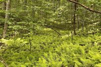 Property for sale in Jackson County, North Carolina