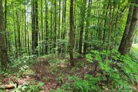 Property for sale in McDowell County, North Carolina