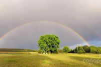 Property for sale in Chesterfield County, South Carolina