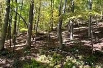 Property for sale in Henderson County, North Carolina