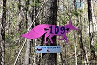 Property for sale in Buncombe County, North Carolina