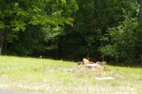 Property for sale in Montgomery County, North Carolina