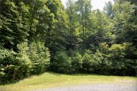 Undeveloped Land for sale in Madison County, North Carolina