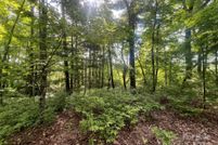 Undeveloped Land for sale in Transylvania County, North Carolina