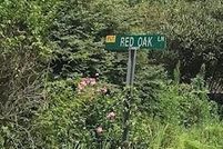 Property for sale in Yancey County, North Carolina