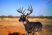 Property for sale in Cottle County, Texas