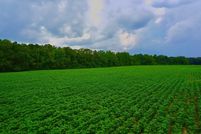 Undeveloped Land for sale in Houston County, Alabama