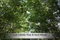 Property for sale in Sevier County, Arkansas