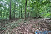 Undeveloped Land for sale in Etowah County, Alabama