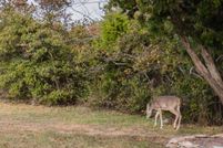 Property for sale in Palo Pinto County, Texas