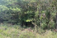 Undeveloped Land for sale in Taliaferro County, Georgia