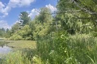 Undeveloped Land for sale in Osceola County, Michigan