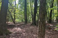 Undeveloped Land for sale in Fannin County, Georgia