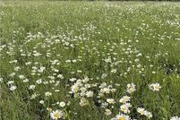 Property for sale in Madison County, Arkansas