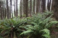 Undeveloped Land for sale in Clatsop County, Oregon
