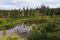 Property for sale in Stevens County, Washington