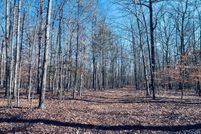 Property for sale in Albemarle County, Virginia