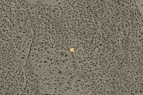 Property for sale in Los Angeles County, California