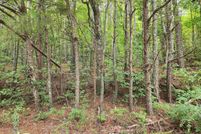 Undeveloped Land for sale in DeKalb County, Alabama