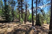 Undeveloped Land for sale in Kane County, Utah