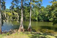 Undeveloped Land for sale in Sabine Parish, Louisiana