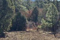 Undeveloped Land for sale in Rio Arriba County, New Mexico