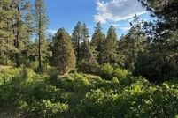 Property for sale in Rio Arriba County, New Mexico