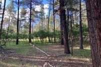 Property for sale in Rio Arriba County, New Mexico