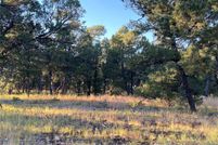 Undeveloped Land for sale in San Miguel County, New Mexico