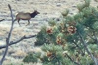 Property for sale in Rio Arriba County, New Mexico