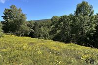 Undeveloped Land for sale in Delaware County, New York