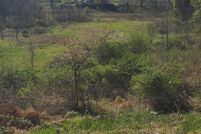 Undeveloped Land for sale in Ulster County, New York