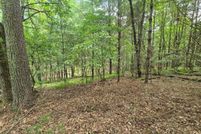 Waterfront Property for sale in Grayson County, Virginia