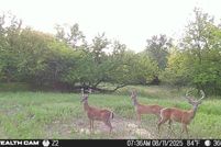 Lakefront Property for sale in Pittsburg County, Oklahoma