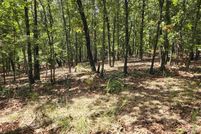Undeveloped Land for sale in Sharp County, Arkansas