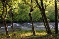 Property for sale in Dawson County, Georgia