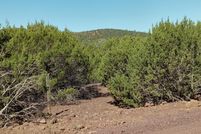 Property for sale in Apache County, Arizona