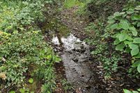 Undeveloped Land for sale in Hampshire County, West Virginia