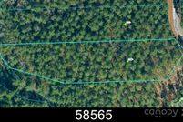 Undeveloped Land for sale in Burke County, North Carolina