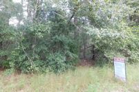 Undeveloped Land for sale in Tattnall County, Georgia