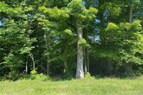 Undeveloped Land for sale in Kanawha County, West Virginia