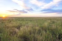 Property for sale in Bailey County, Texas
