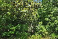 Undeveloped Land for sale in Sumter County, South Carolina