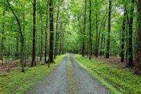 Property for sale in Albemarle County, Virginia