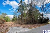 Property for sale in Dillon County, South Carolina